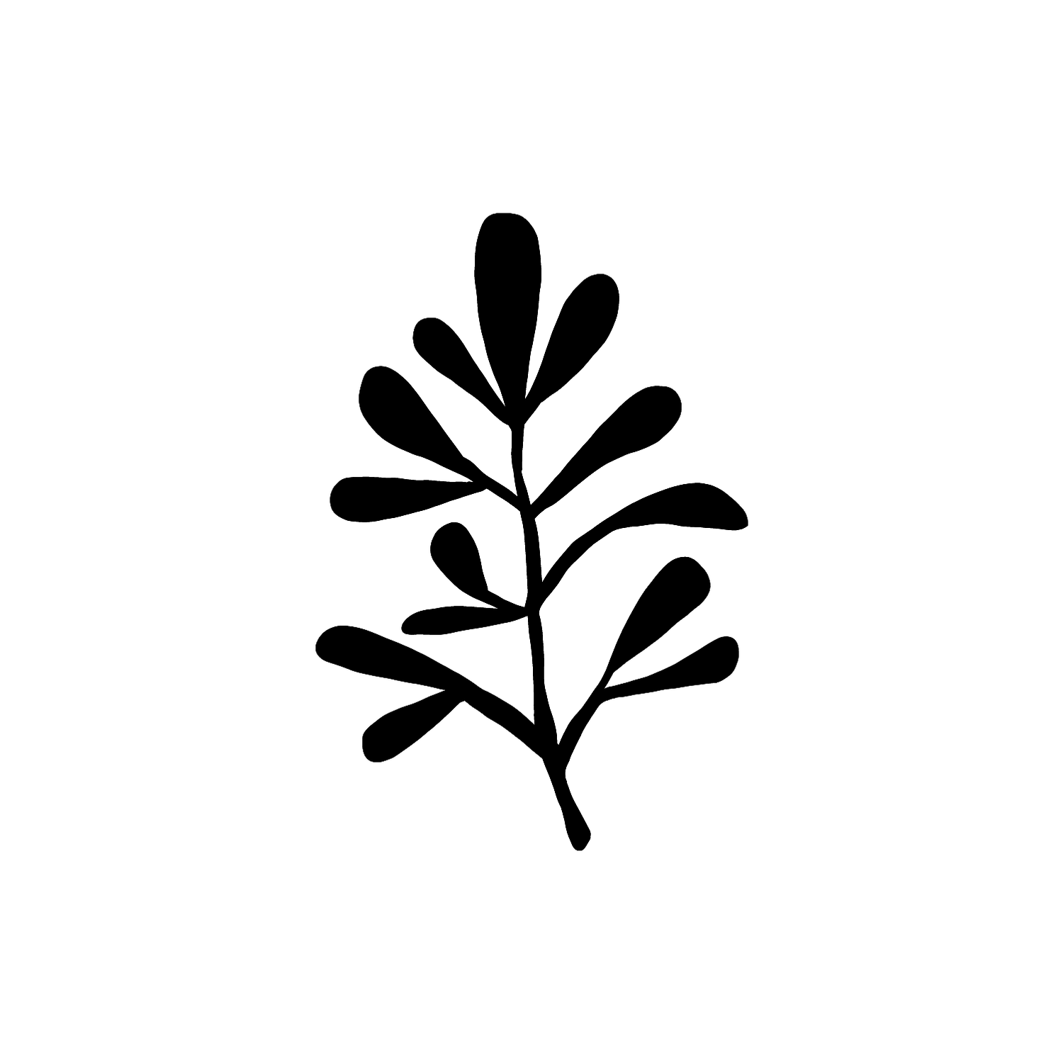 Abdruck Stempel Mistelzweig einzeln, 35 mm