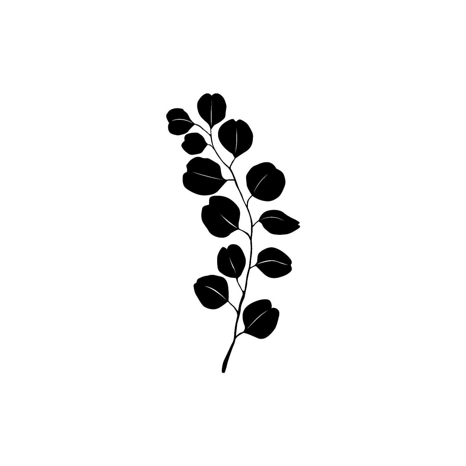 Abdruck Stempel Eukalyptuszweig, 35 mm