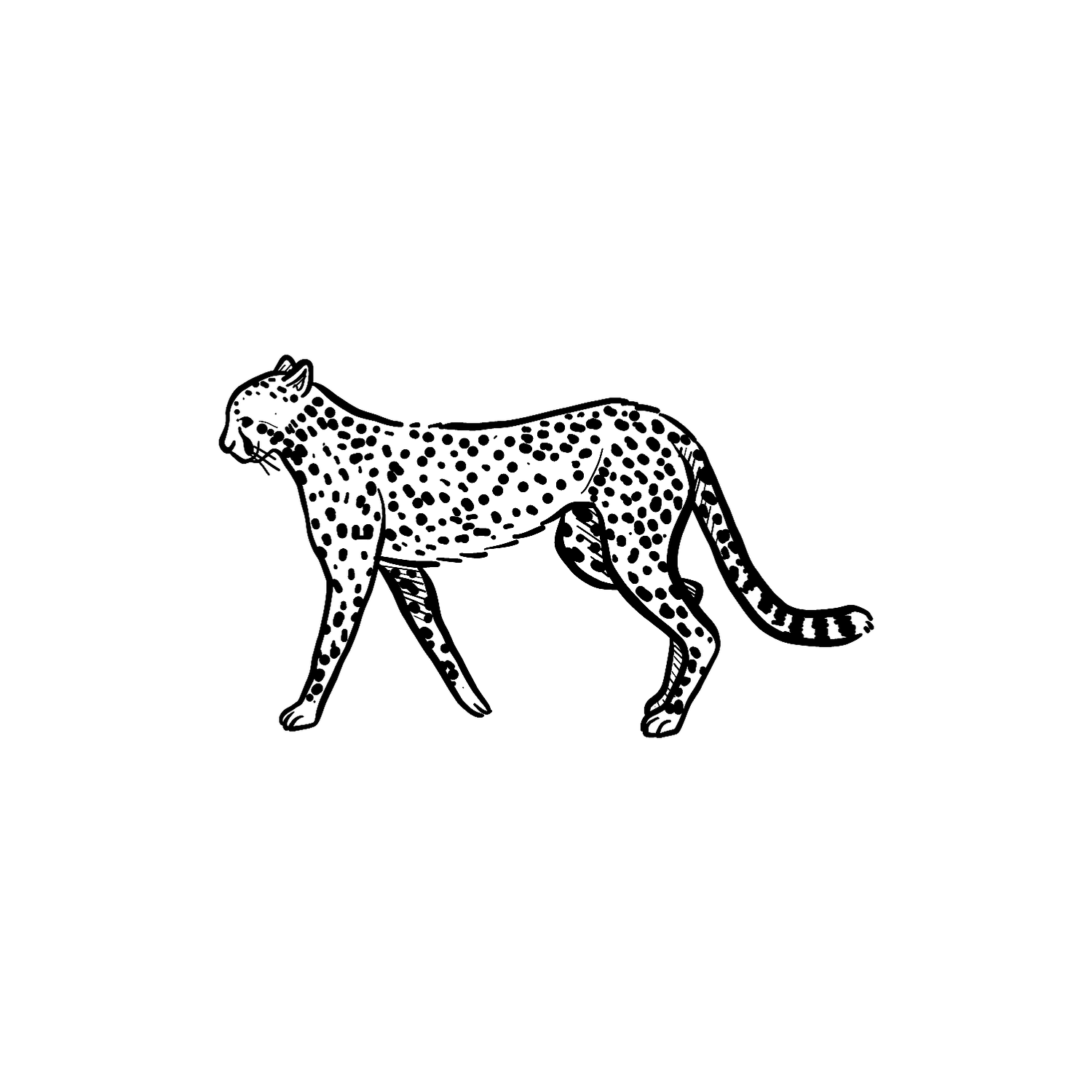 Abdruck Stempel Gepard, 35 mm