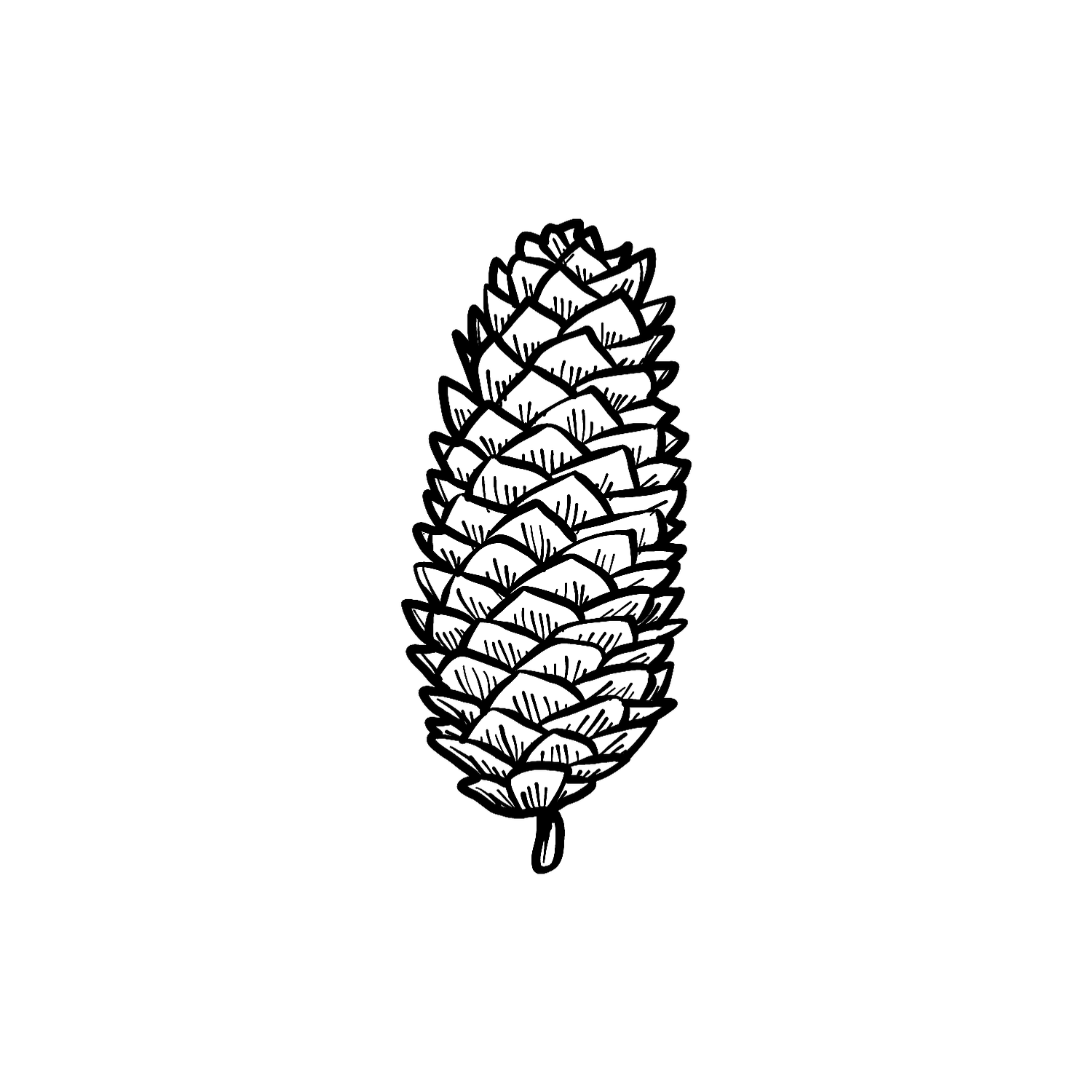 Abdruck Stempel Fichtenzapfen, 35 mm
