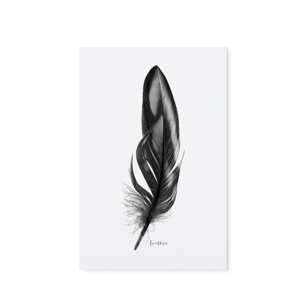 Postkarte "Feder" von Tafelgut
