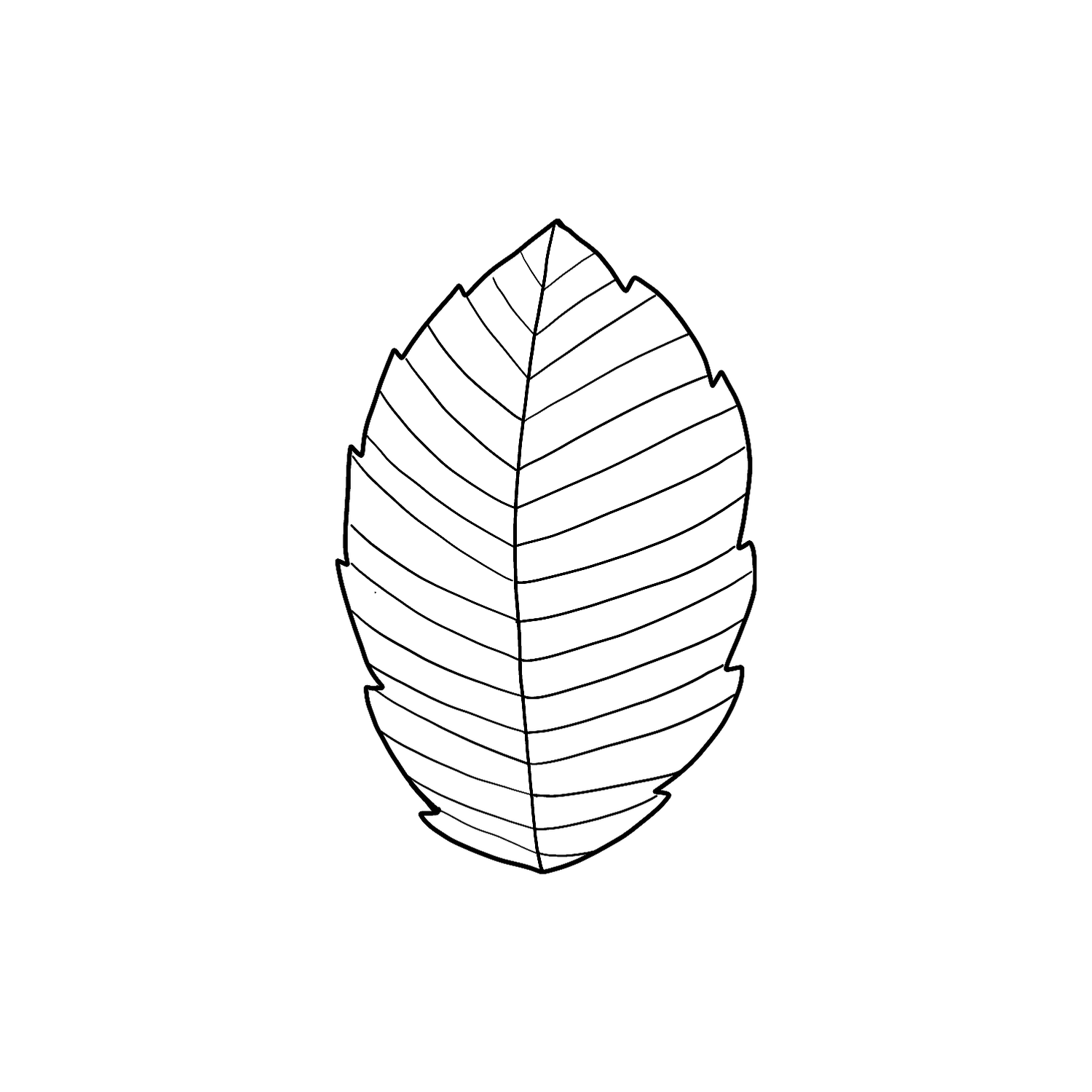 Abdruck Stempel Buchenblatt, 12 mm
