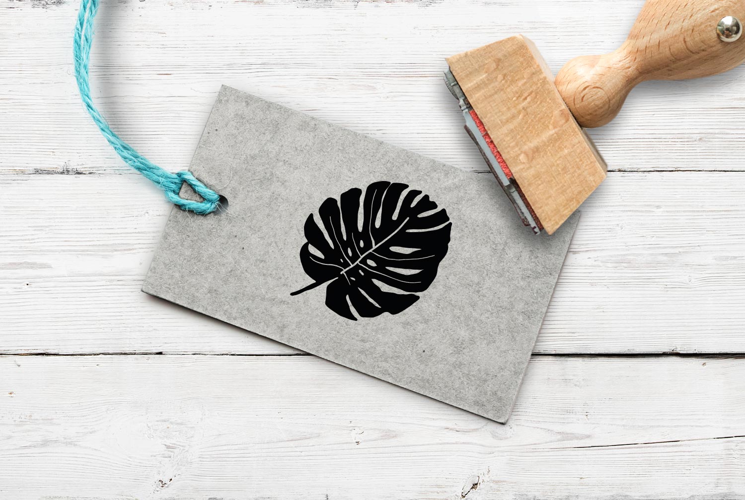 Stempel Monstera-Blatt, 35 mm
