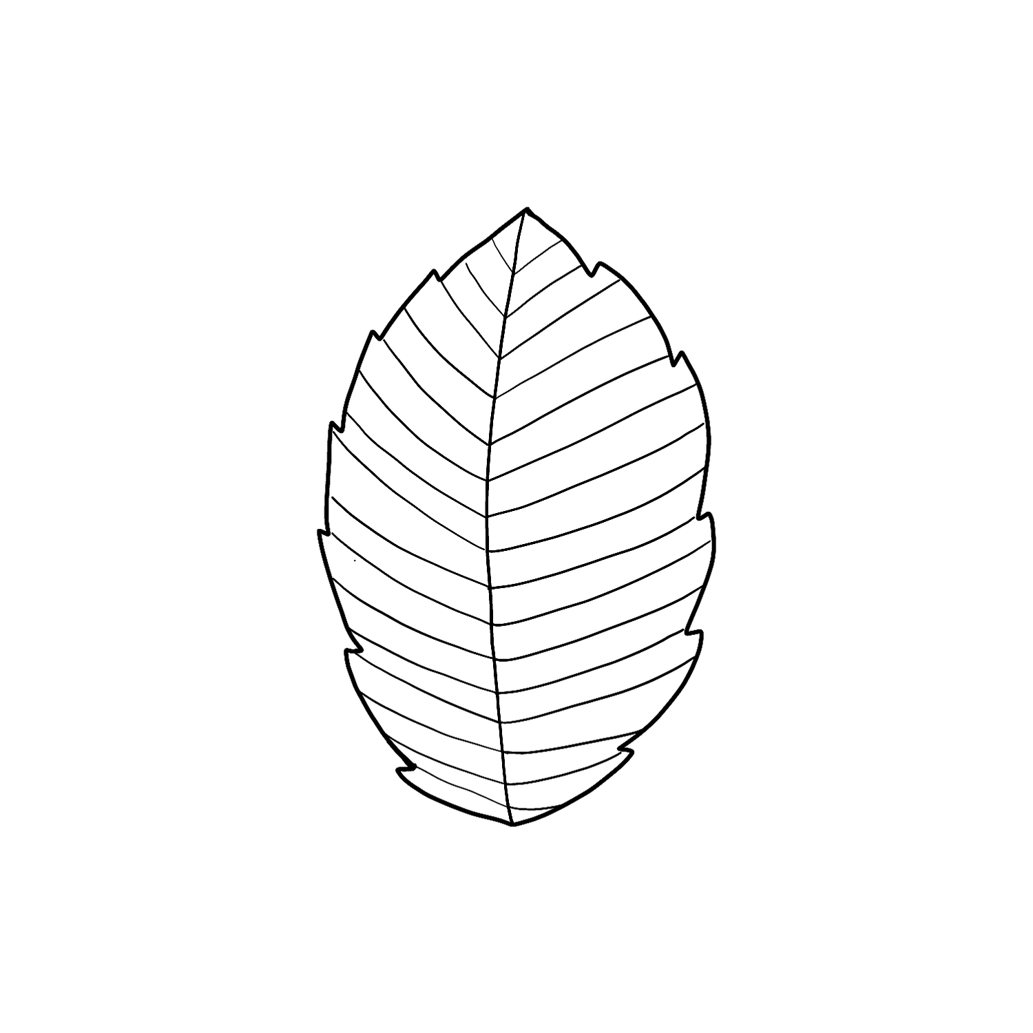 Abdruck Stempel Buchenblatt, 35 mm