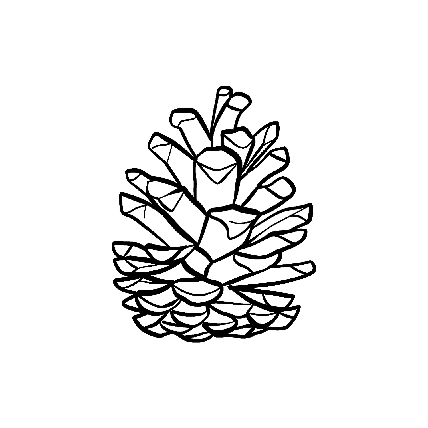 Abdruck Stempel Tannenzapfen_2, 50 mm