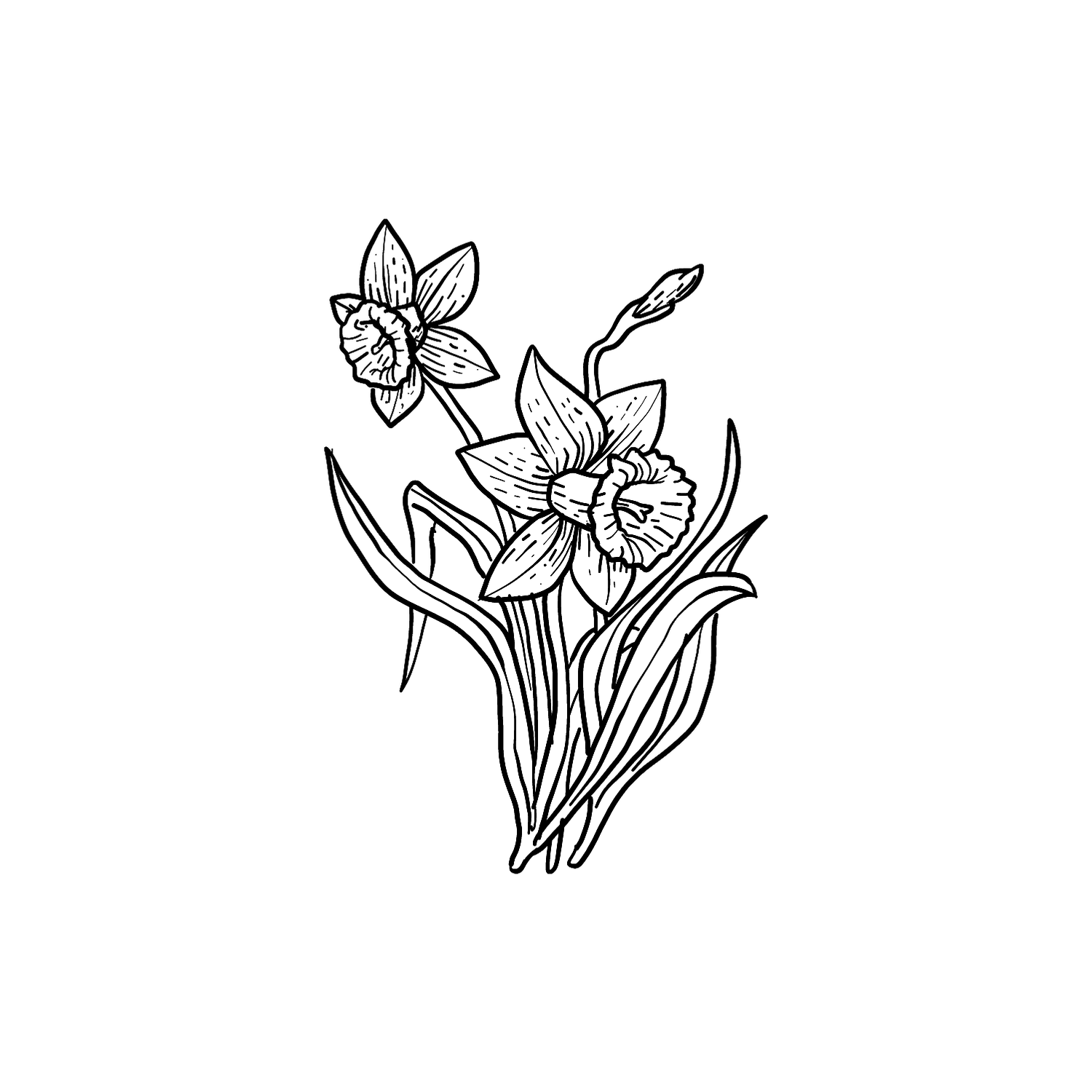 Abdruck Stempel Narzissen, 35 mm