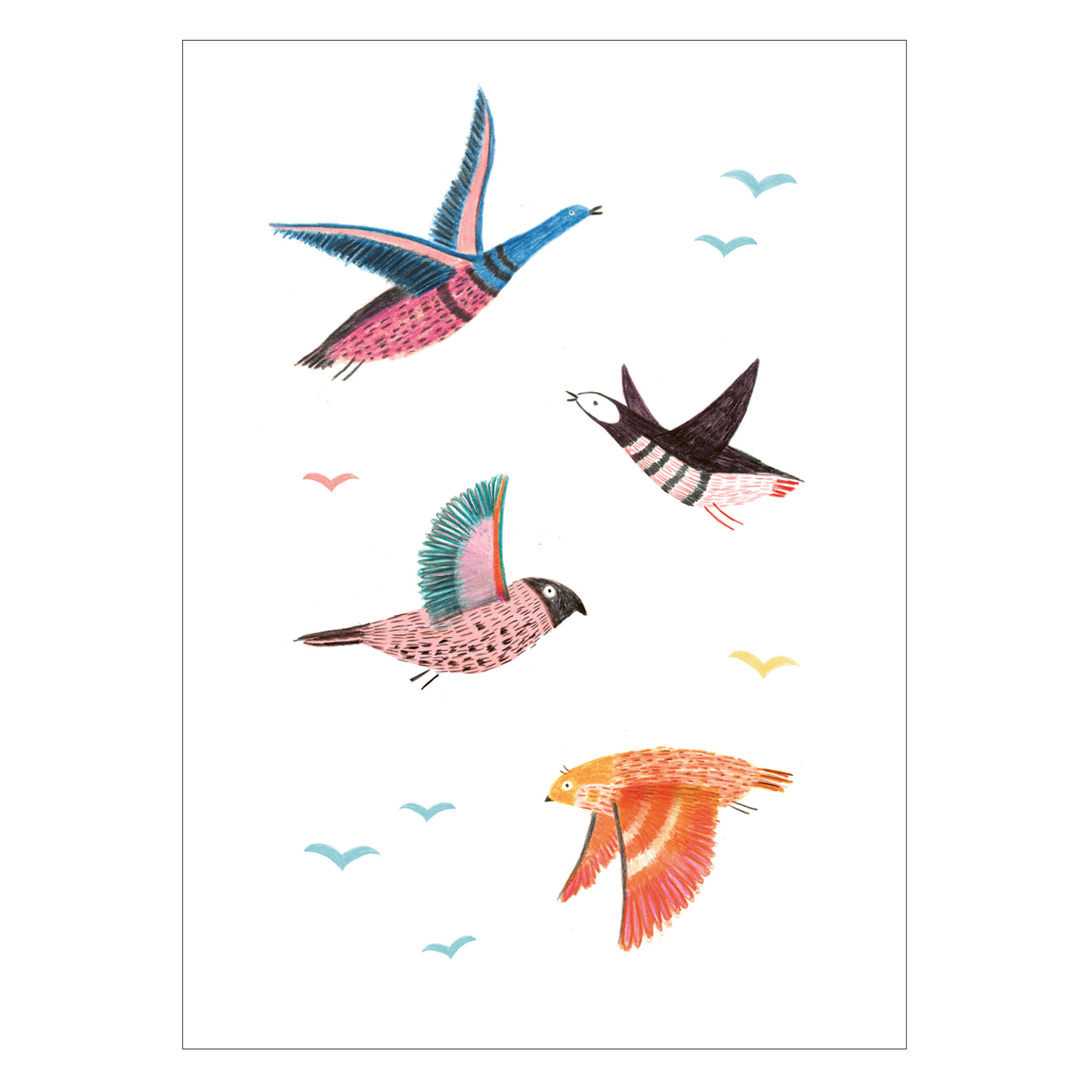 Postkarte "Wildvögel"