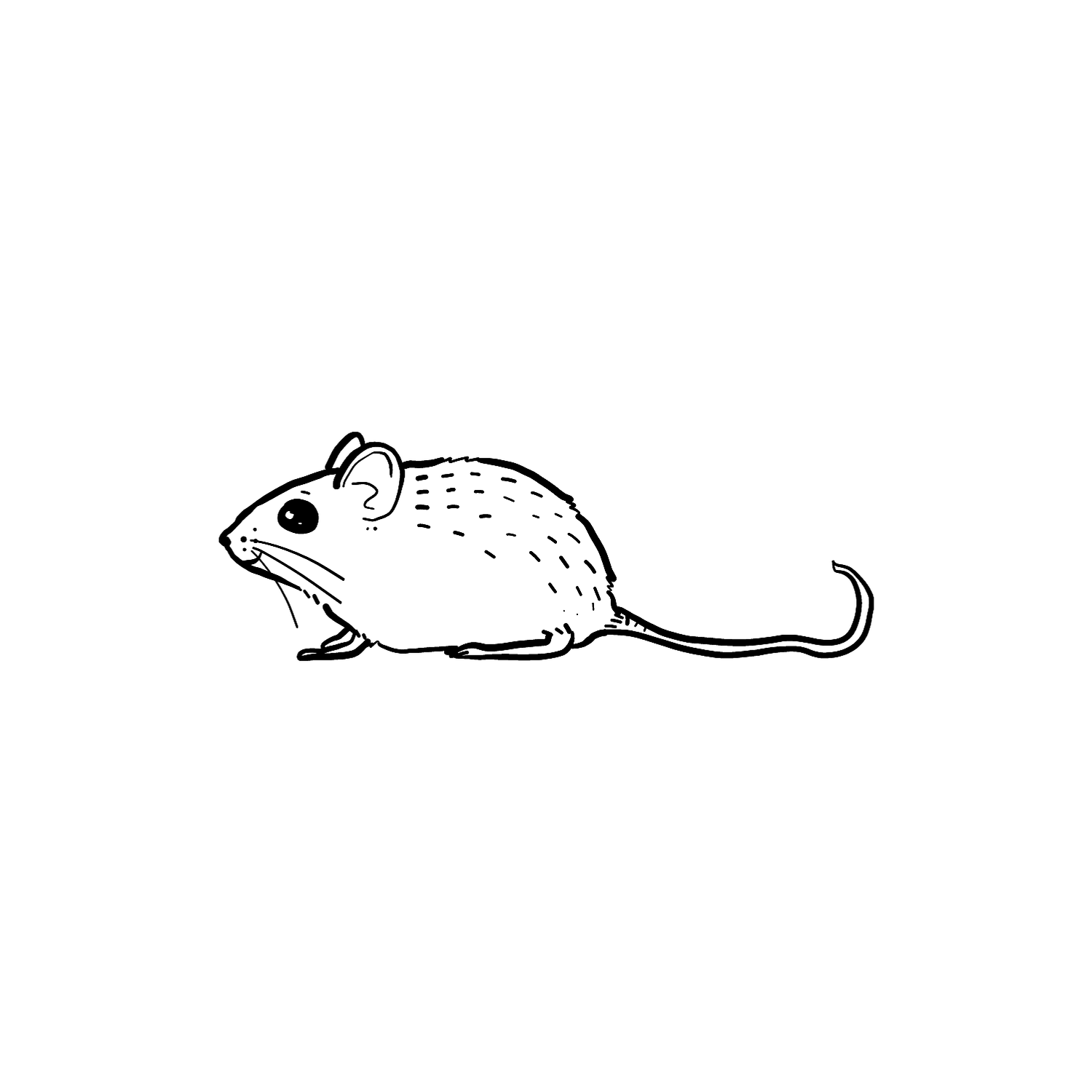 Abdruck Stempel Maus, 35 mm